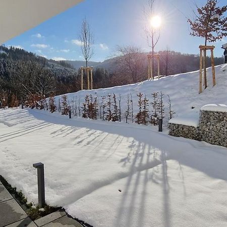 Ferienwohnung Upland Lounge Willingen  Exterior foto